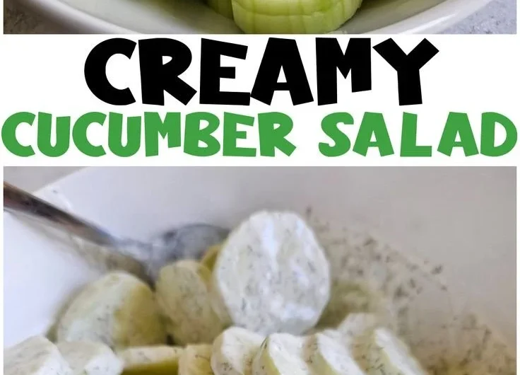 Creamy cucumber salad in a bowl with fresh herbs and seasoning