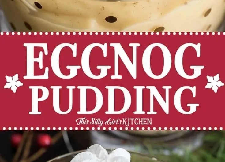 Delicious bowl of homemade eggnog pudding topped with whipped cream and nutmeg